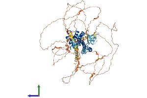 AlphaFold protein structure predicition of Human Recombinant MICALL2 Protein, UniprotID Q8IY33 (MICALL2 Protein (AA 1-904) (His tag))