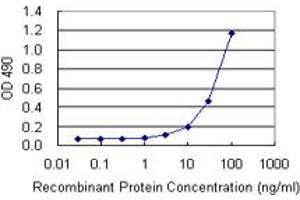 Sandwich ELISA detection sensitivity ranging from 3 ng/mL to 100 ng/mL. (HMGB1 (Human) Matched Antibody Pair)