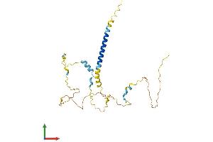 Protein Structure (PS) image for Prostate Transmembrane Protein, Androgen Induced 1 (PMEPA1) (AA 1-260) protein (His tag) (ABIN7561094)