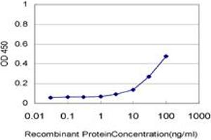 Detection limit for recombinant GST tagged PTGES2 is approximately 3ng/ml as a capture antibody. (PTGES2 antibody  (AA 270-377))