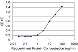 Detection limit for recombinant GST tagged HOXA5 is approximately 0. (HOXA5 antibody  (AA 171-270))