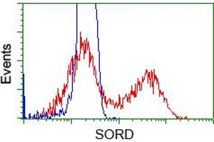 HEK293T cells transfected with either pCMV6-ENTRY SORD (RC200415) (Red) or empty vector control plasmid (Blue) were immunostained with anti-SORD mouse monoclonal (ABIN2453674), and then analyzed by flow cytometry. (SORD antibody)