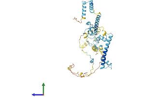 AlphaFold protein structure predicition of Human Recombinant ZC3H15 Protein, UniprotID Q8WU90 (ZC3H15 Protein (AA 1-426) (His tag))