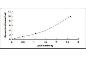 Typical standard curve (GLI1 ELISA Kit)