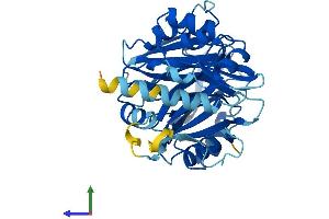 AlphaFold protein structure predicition of Mouse Recombinant Hpdl Protein, UniprotID Q8K248 (HPDL Protein (AA 1-371) (His tag))