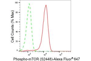 Flow cytometric analysis of Phospho-mTOR (S(ABIN7800001) expression in HeLa cells using Phospho-mTOR (S(ABIN7800001) antibody (ABIN7799348), 1:2,000). (Recombinant MTOR antibody  (pSer2448))
