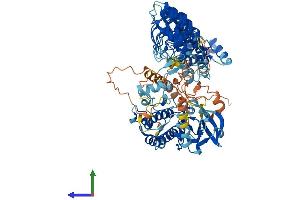 AlphaFold protein structure predicition of Human Recombinant TNNI3K Protein, UniprotID Q59H18