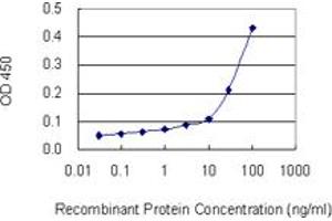 Detection limit for recombinant GST tagged HLA-DPB1 is 10 ng/ml as a capture antibody. (HLA-DPB1 antibody  (AA 1-258))