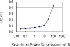 ELISA image for anti-Major Histocompatibility Complex, Class II, DP beta 1 (HLA-DPB1) (AA 1-258) antibody (ABIN561271)