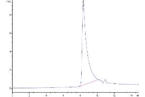 Size-exclusion chromatography-High Pressure Liquid Chromatography (SEC-HPLC) image for Chemokine (C-C Motif) Ligand 2 (CCL2) (AA 24-99) protein (His-Avi Tag,Biotin) (ABIN7275241)