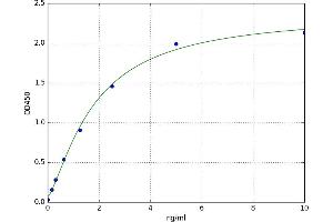 FK506 Binding Protein Like (FKBPL) ELISA Kit