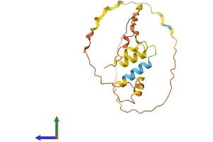 AlphaFold protein structure predicition of Human Recombinant PRORY Protein, UniprotID Q9H606 (CYORF17 Protein (AA 1-182) (His tag))