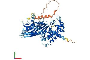 AlphaFold protein structure predicition of Human Recombinant DENND2D Protein, UniprotID Q9H6A0 (DENND2D Protein (AA 1-471) (His tag))