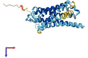 AlphaFold protein structure predicition of Human Recombinant OR2G2 Protein, UniprotID Q8NGZ5 (OR2G2 Protein (AA 1-317) (His tag))