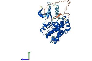 AlphaFold protein structure predicition of Human Recombinant CDKL1 Protein, UniprotID Q00532