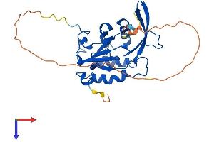 AlphaFold protein structure predicition of Mouse Recombinant Ctdsp1 Protein, UniprotID P58466 (CTDSP1 Protein (AA 1-261) (His tag))