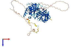 GSPT2 Protein (AA 1-628) (His tag)