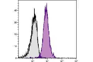 BALB/c mouse splenocytes were stained with Mouse Anti-Mouse CD45. (CD45.2 antibody  (PE))