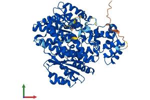 AlphaFold protein structure predicition of Human Recombinant GCKR Protein, UniprotID Q14397 (GCKR Protein (AA 1-625) (His tag))