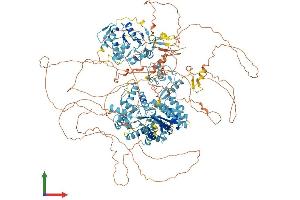 AlphaFold protein structure predicition of Human Recombinant POGZ Protein, UniprotID Q7Z3K3 (POGZ Protein (AA 1-1410) (His tag))