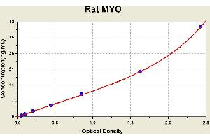 Diagramm of the ELISA kit to detect Rat MYOwith the optical density on the x-axis and the concentration on the y-axis.