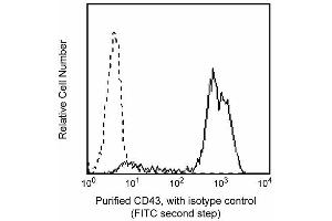 Profile of CD43 (L60) reactivity on peripheral blood lymphocytes analyzed by flow cytometry. (CD43 antibody)