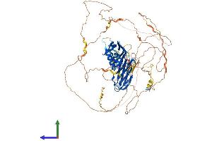 AlphaFold protein structure predicition of Human Recombinant SGIP1 Protein, UniprotID Q9BQI5 (SGIP1 Protein (AA 1-828) (His tag))