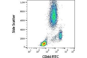 Flow cytometry surface staining pattern of human peripheral whole blood stained using anti-human CD64 (10. (FCGR1A antibody  (FITC))