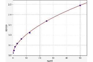 Laminin, alpha 3 (LAMA3) ELISA Kit