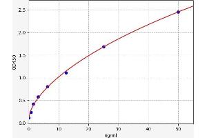 Typical standard curve (LAMA3 ELISA Kit)