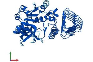 Protein Structure (PS) image for GDP-Mannose Pyrophosphorylase B (GMPPB) (AA 1-360) protein (His tag) (ABIN7548017)