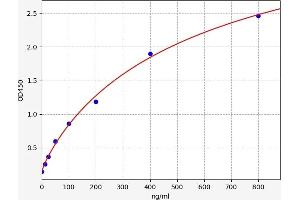 Typical standard curve (Fetuin A ELISA Kit)