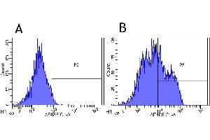 Flow-cytometry using anti-CD22 antibody Epratuzumab   Rhesus monkey lymphocytes were stained with an isotype control (panel A) or the rabbit-chimeric version of Epratuzumab ( panel B) at a concentration of 1 µg/ml for 30 mins at RT. (Recombinant CD22 (Epratuzumab Biosimilar) antibody)