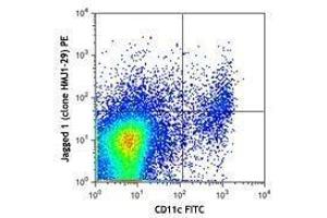 Flow Cytometry (FACS) image for anti-Jagged 1 (JAG1) antibody (PE) (ABIN2662607)