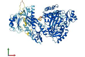 AlphaFold protein structure predicition of Mouse Recombinant Carns1 Protein, UniprotID Q6ZPS2 (CARNS1 Protein (AA 1-827) (His tag))