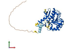AlphaFold protein structure predicition of Human Recombinant CAMKMT Protein, UniprotID Q7Z624 (Calmodulin-Lysine N-Methyltransferase (CAMKMT) (AA 1-323) protein (His tag))