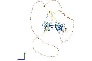 Protein Structure (PS) image for Doublecortin Domain Containing 2 (DCDC2) (AA 1-475) protein (His tag) (ABIN7557434)