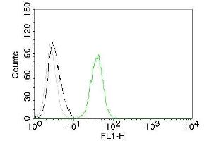 Flow Cytometry of human CD31 on Jurkat cells. (CD31 antibody)