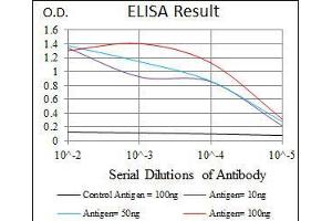 ELISA image for anti-Chemokine (C-C Motif) Ligand 2 (CCL2) antibody (ABIN969505)