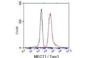 Flow Cytometry (FACS) image for anti-CREB Regulated Transcription Coactivator 1 (CRTC1) antibody (ABIN6241239)