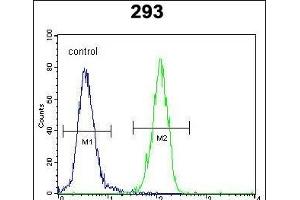 Flow Cytometry (FACS) image for anti-Cyclin-Dependent Kinase Inhibitor 1A (p21, Cip1) (CDKN1A) (AA 134-164), (C-Term) antibody (ABIN391763)