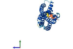 Protein Structure (PS) image for Translin (TSN) (AA 1-228) protein (His tag) (ABIN7544880)