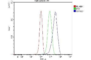 anti-Chromosome 14 Open Reading Frame 49 (C14orf49) (AA 322-495) antibody
