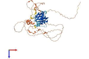 AlphaFold protein structure predicition of Mouse Recombinant Ccm2l Protein, UniprotID Q8VCC6 (C20orf160 Protein (AA 1-481) (His tag))