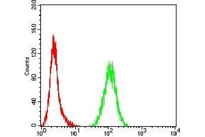Flow Cytometry (FACS) image for anti-Topoisomerase (DNA) II alpha 170kDa (TOP2A) (AA 1100-1530) antibody (ABIN7193564)