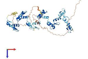 AlphaFold protein structure predicition of Human Recombinant ZFP3 Protein, UniprotID Q96NJ6