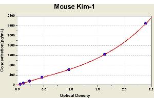 Diagramm of the ELISA kit to detect Mouse K1 m-1with the optical density on the x-axis and the concentration on the y-axis. (HAVCR1 ELISA Kit)