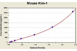 Diagramm of the ELISA kit to detect Mouse K1 m-1with the optical density on the x-axis and the concentration on the y-axis.