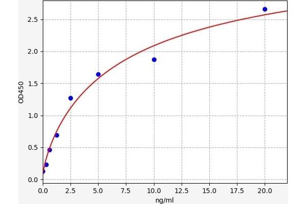 Defensin beta 4 ELISA Kit