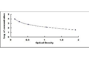Typical standard curve (Keratan Sulfate ELISA Kit)